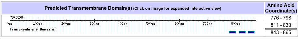 YDR Domains